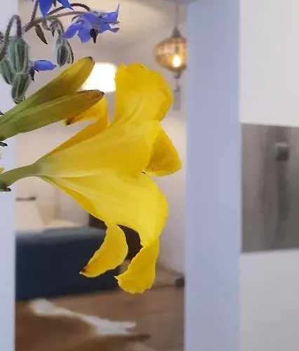 Old Town Apartment Poznan